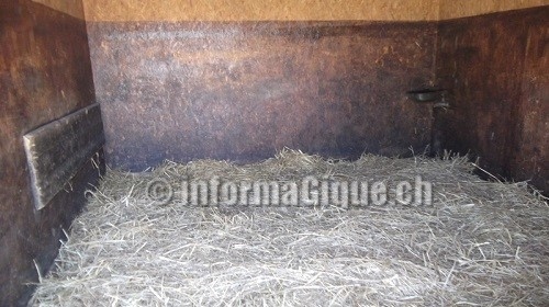 surveillance box vélage