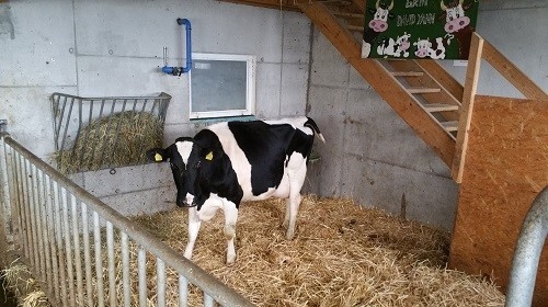 surveillance box velage